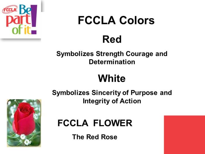 Fccla rose red flower roses flowers background wallpaper petals desktop backgrounds wallpapers sincerity strength cream