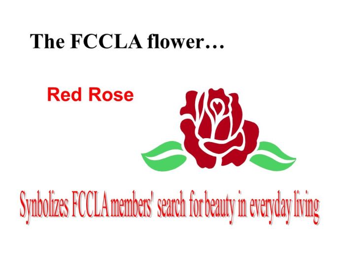 What is the fccla flower