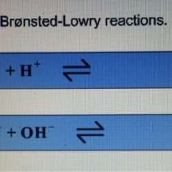 Reactions lowry complete these bronsted answer