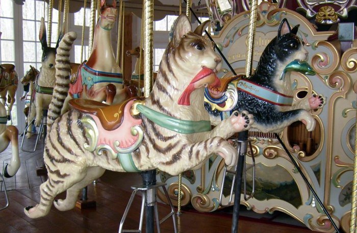 A cat dozes on a stationary merry go round