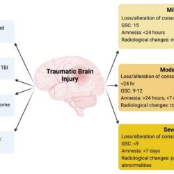 Hesi case study traumatic brain injury