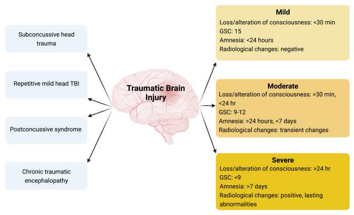 Hesi case study traumatic brain injury