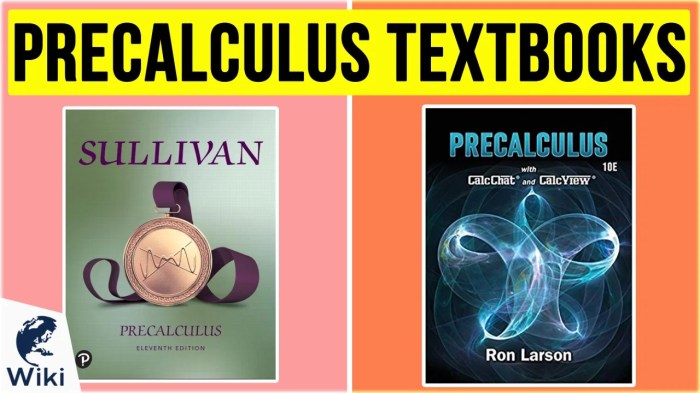 Sullivan precalculus 11th edition - solutions pdf